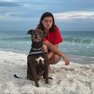 Meet your Posher, Gracie